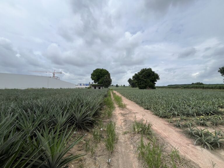 image-0929 Land in Rayong for sale