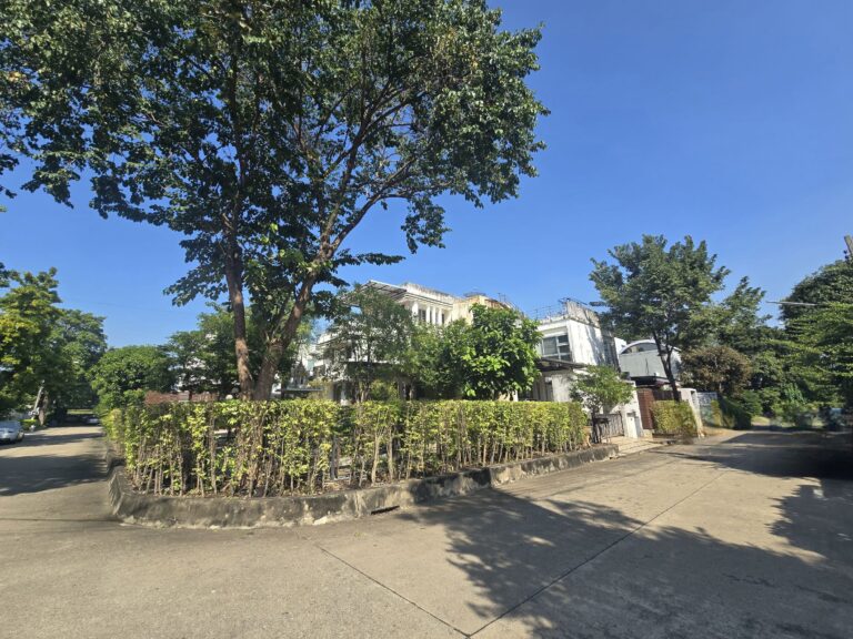 image-1009 Single House in Neo city for Sale