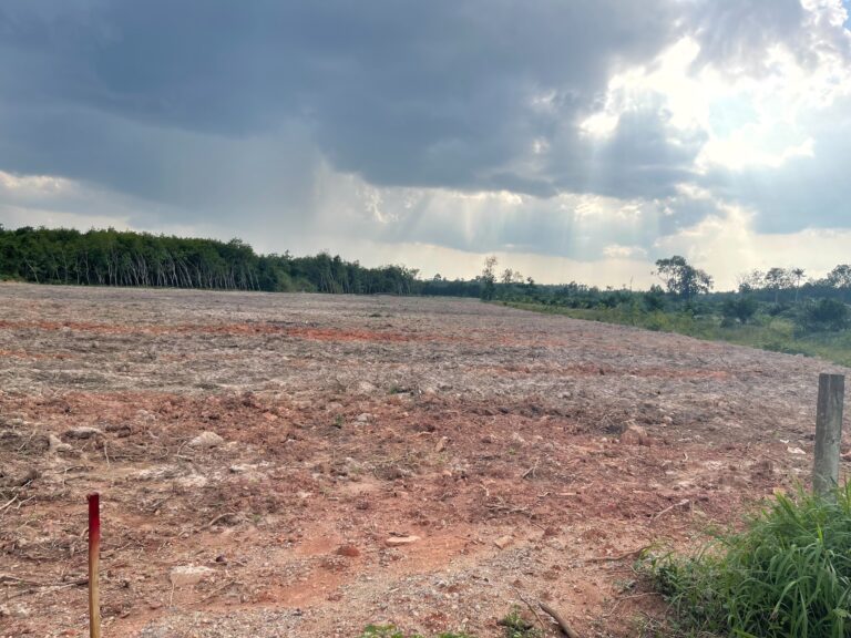 image-1142 Land in Suratthani for Sale