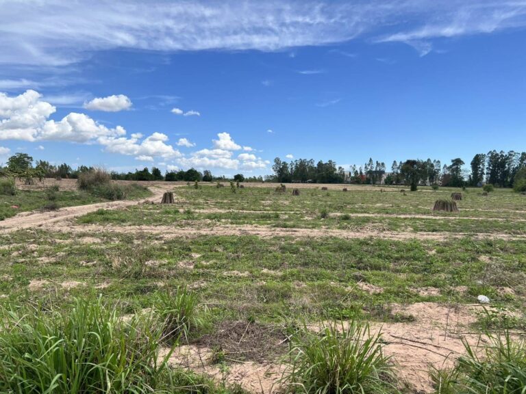 image-1487 Land in Sriracha for Sale