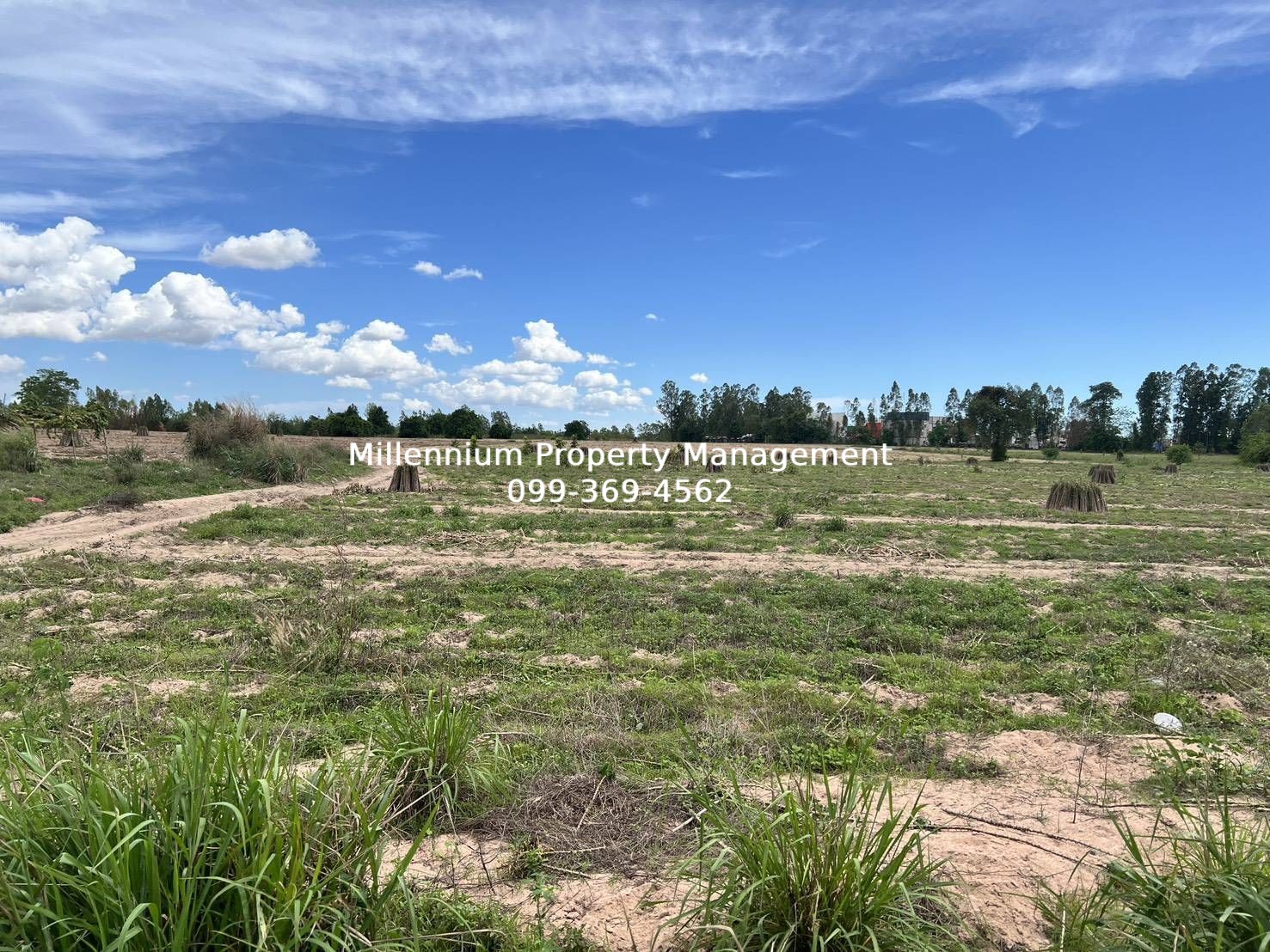 image-1487 Land in Sriracha for Sale